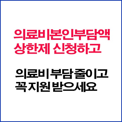 의료비 부담 줄이는 방법- 건강보험 의료비 본인부담액 상한제 vs 재난적의료비지원사업